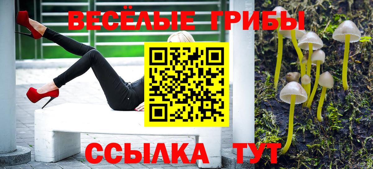 Галлюциногенные грибы MAGIC MUSHROOMS  Вход с VPN  Сосновоборск 